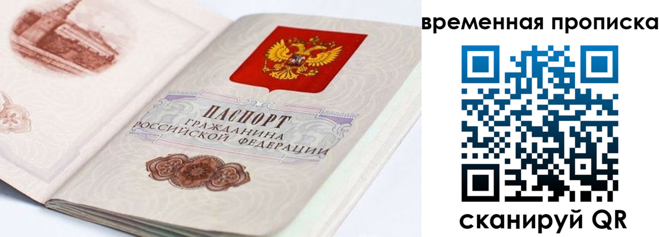 прописка 2025 в Электрогорске